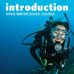 Padi Introduction To Open Water Diver Elearning